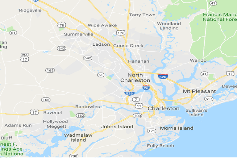 CHARLESTON SC WILDLIFE CONTROL SQUIRREL TRAPPING & REMOVAL SERVICES LAUNCHED CHARLESTON SC WILDLIFE CONTROL SQUIRREL TRAPPING & REMOVAL SERVICES LAUNCHED