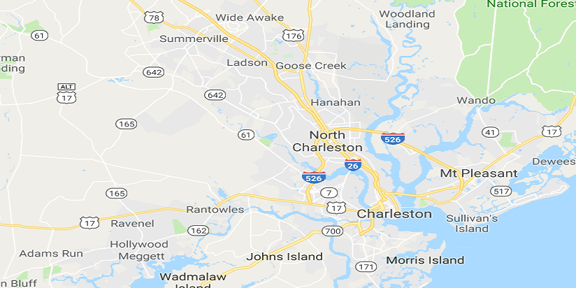 CHARLESTON SC WILDLIFE CONTROL SQUIRREL TRAPPING & REMOVAL SERVICES LAUNCHED CHARLESTON SC WILDLIFE CONTROL SQUIRREL TRAPPING & REMOVAL SERVICES LAUNCHED