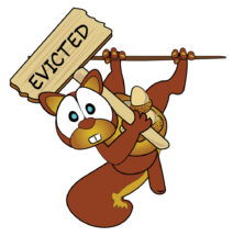 ALL THINGS WILD - Nuisance Wildlife Removal